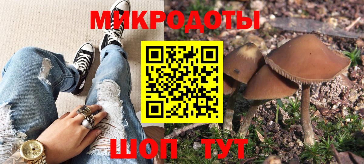 Псилоцибиновые грибы Cubensis  Вход с VPN  Рязань  Галлюциногенные грибы GOLDEN TEACHER 