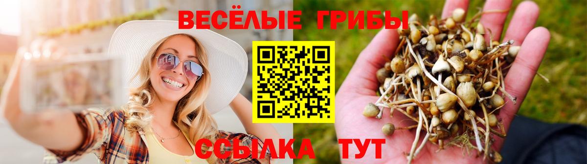 Псилоцибиновые грибы ЛСД Рязань